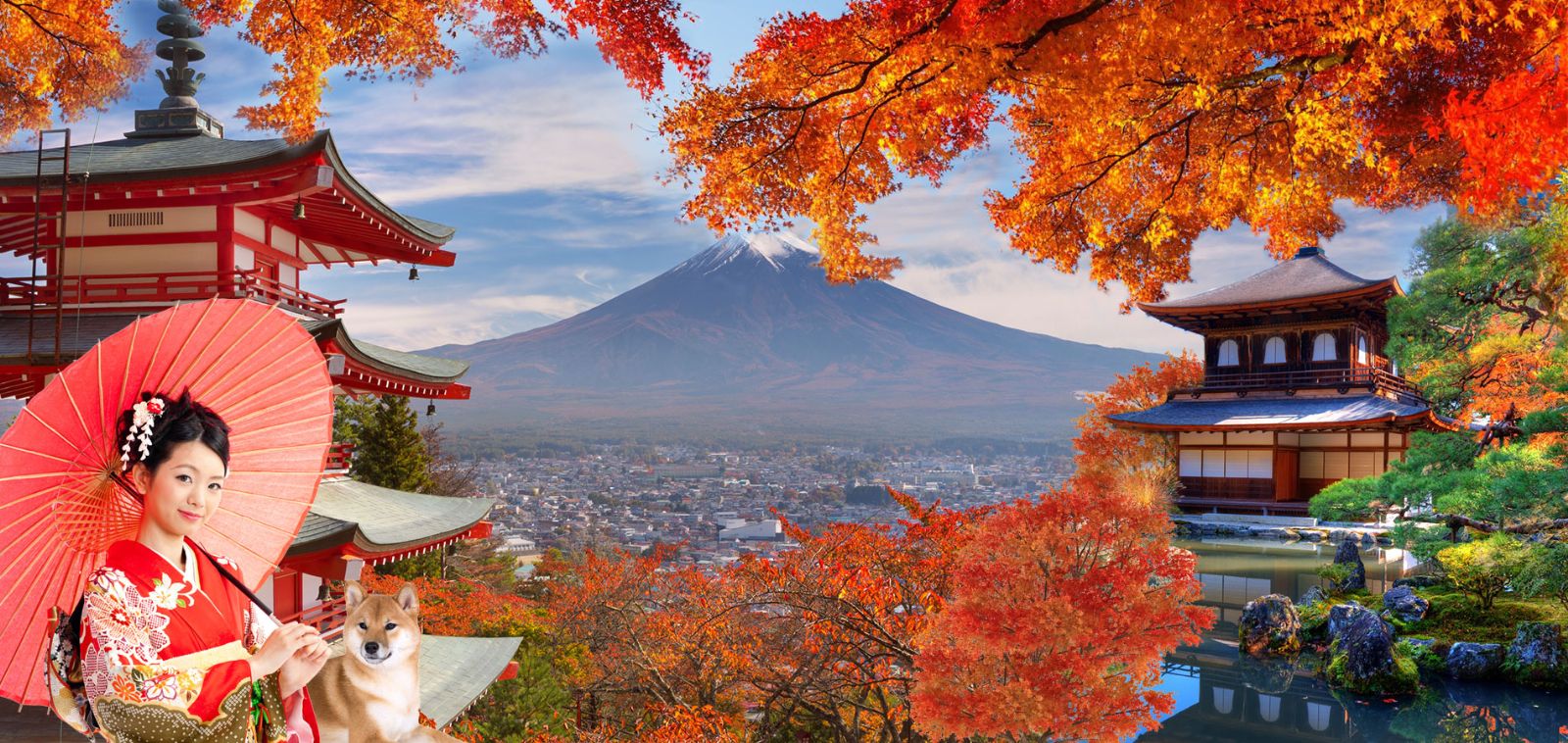 Đặc sắc mùa thu nước Nhật~ Đà Nẵng -  Tokyo - Kawaguchiko - Núi Phú Sỹ - Hakone