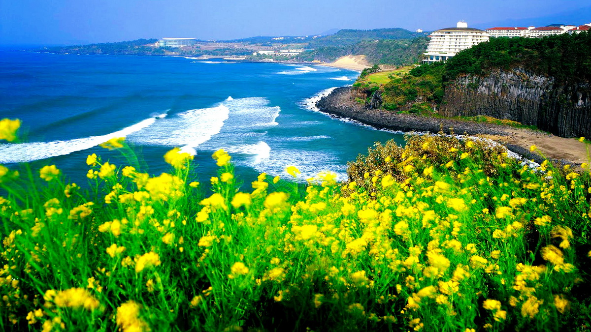 Du lịch khám phá Kỳ quan thế giới Đảo Jeju  ~ jeju hàn quốc